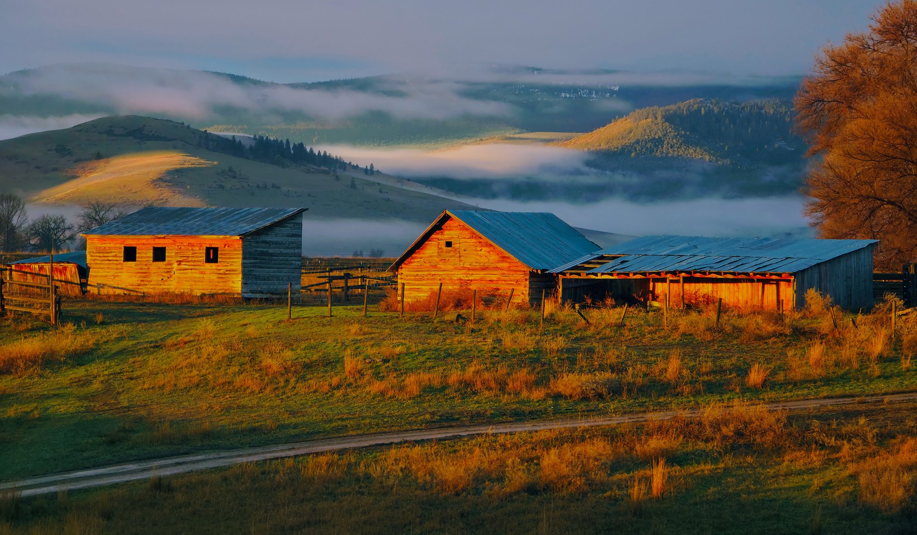 Old barns at first light